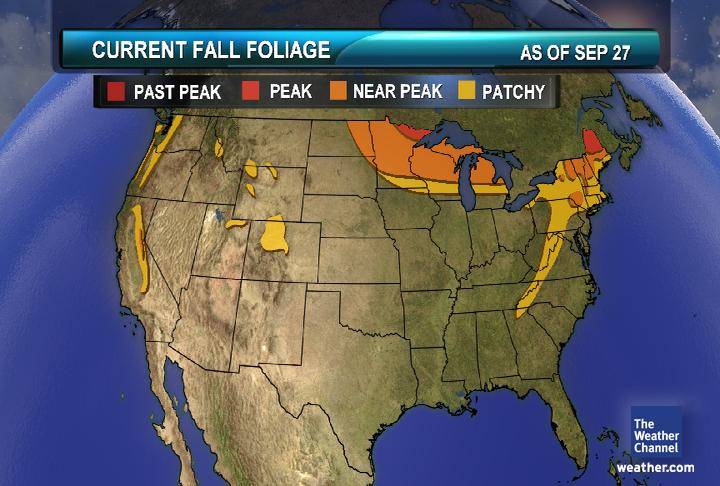 Check Fall Foliage For Your Area - foXnoMad
