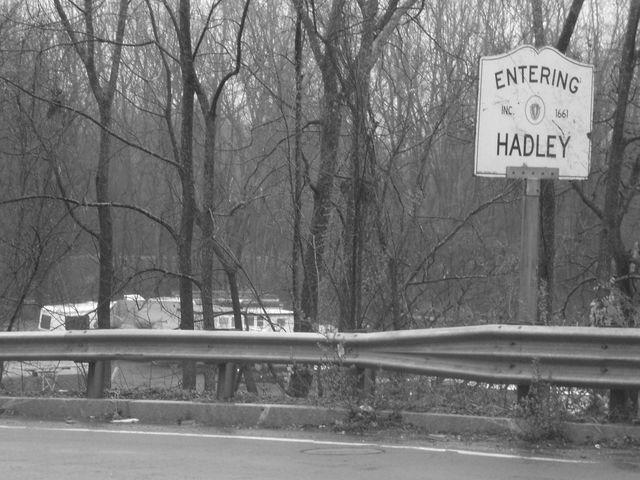 hadley 1 bw