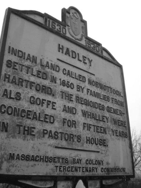 hadley 4 bw