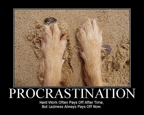 procrastination poster