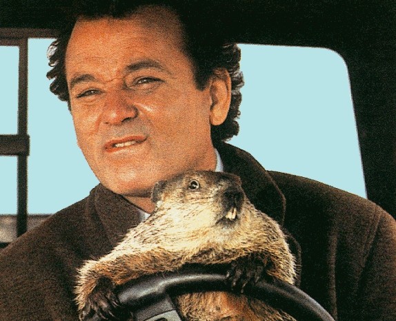 groundhog day bill murray