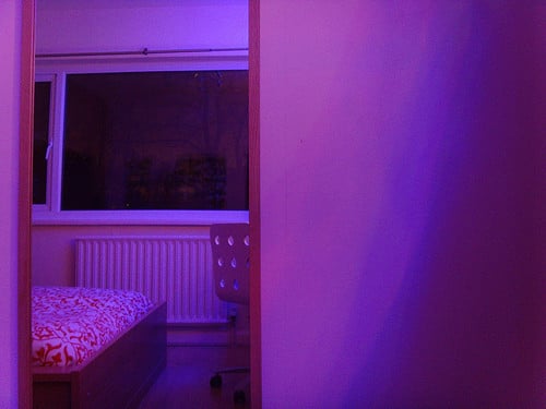 purple room