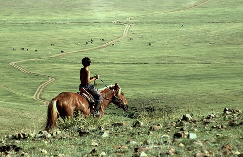 boy on horse