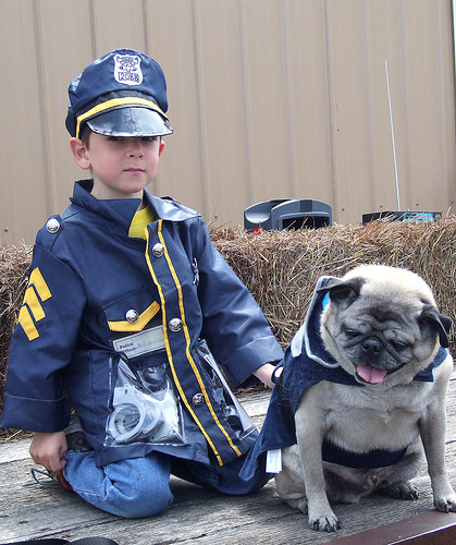 police pug