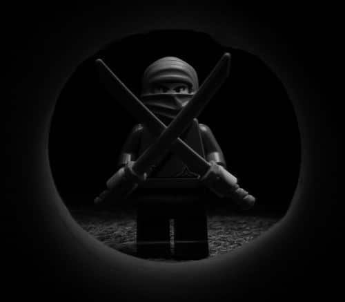 lego ninja