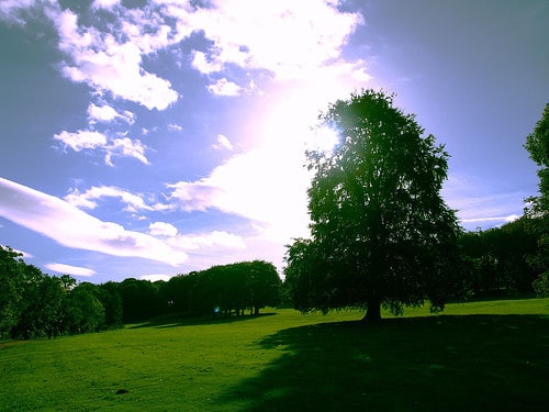 roundhay park