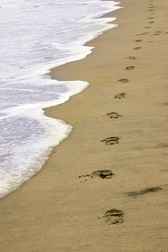 footprints in the sand