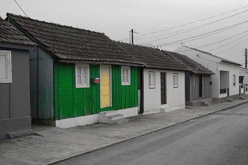 green house selective coloring