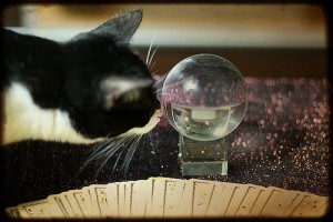 cat-looking-in-crystal-ball-300x200.jpg