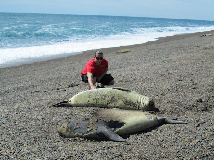 puerto madryn