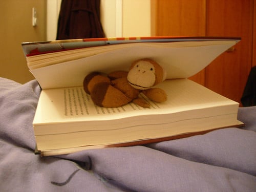 book monkey