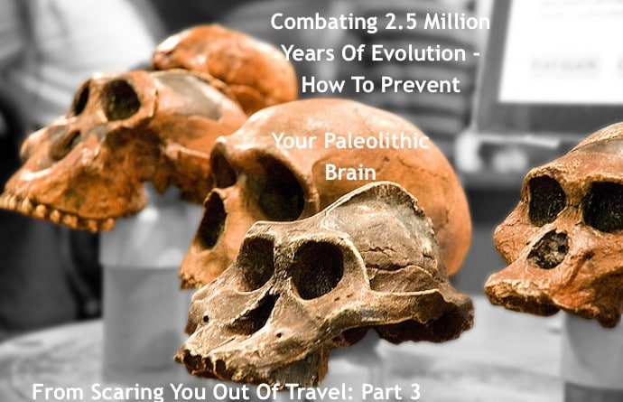 hominid skulls