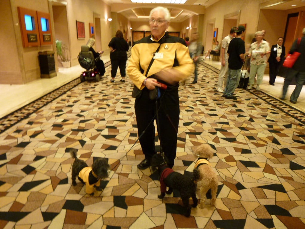 starfleet pet costume