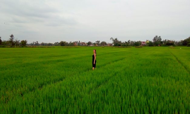 Everything You Need To Know To Prepare For A Trip To Vietnam