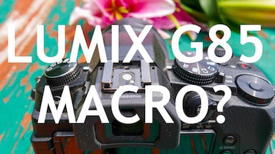 How Good Is The Panasonic Lumix G85 Macro?